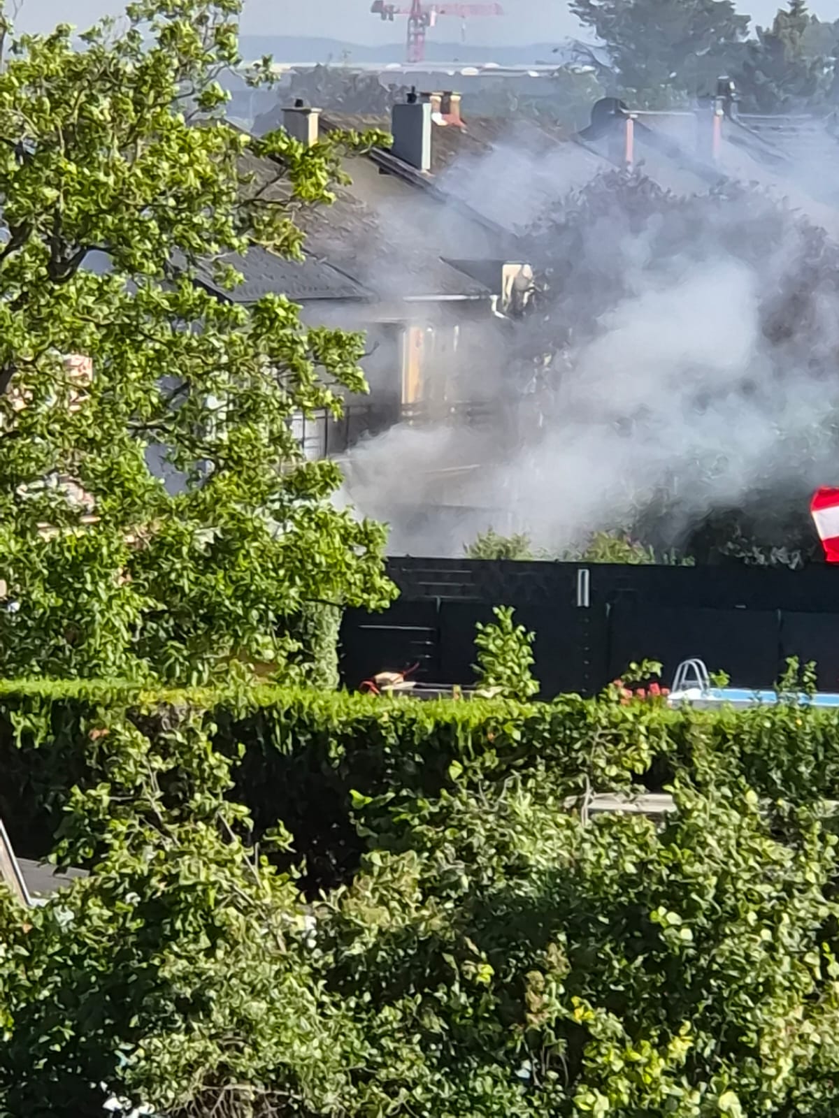 Vom Schulabschluss vor die Trümmer der Existenz: Feuerwehr rettet Tiere bei Zimmerbrand in Tribuswinkel